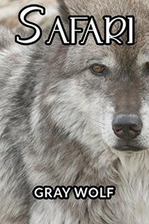 Profilový obrázek - Gray Wolf