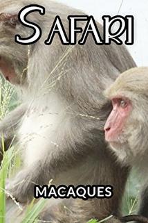 Profilový obrázek - Macaques
