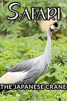 Profilový obrázek - The Japanese Crane