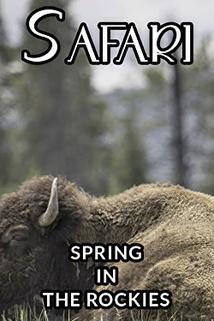 Profilový obrázek - Spring in the Rockies