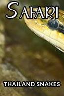 Profilový obrázek - Thailand Snakes