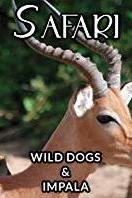 Profilový obrázek - Wild Dogs and Impalas