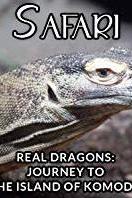 Profilový obrázek - Real Dragons - Journey to the Island of Komodo