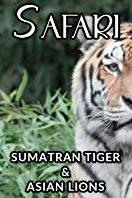 Profilový obrázek - Sumatran Tiger and Asian Lions