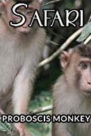 Profilový obrázek - Proboscis Monkey