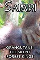 Profilový obrázek - Orangutans: The Silent Forest Kings