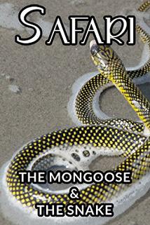 Profilový obrázek - The Mongoose and the Snake