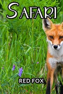 Profilový obrázek - Red Fox