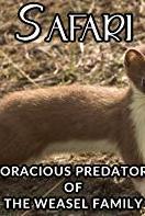 Profilový obrázek - Voracious Predators of the Weasel Family