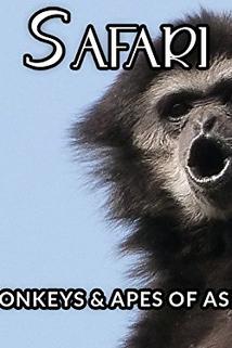 Profilový obrázek - Monkeys and Apes of Asia