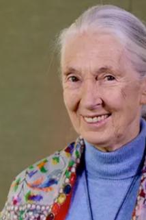 Profilový obrázek - Jane Goodall
