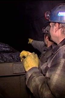 Profilový obrázek - Coal Miner