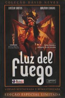 Profilový obrázek - Luz del Fuego