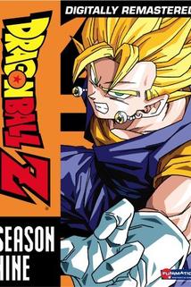 Profilový obrázek - Dragon Ball Z: Doragon bôru zetto