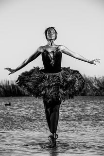Profilový obrázek - Kitty Phetla: The Black Swan