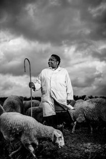 Profilový obrázek - Tebello Nyokong: The Shepherdess