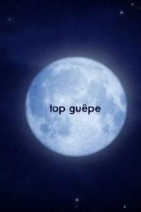 Profilový obrázek - Top guêpe
