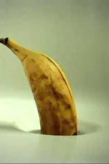 Profilový obrázek - Bananes