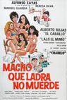 Macho que ladra no muerde (1984)
