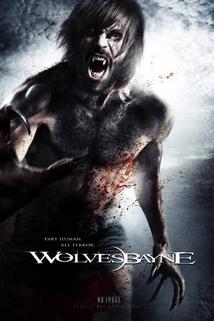 Profilový obrázek - Wolvesbayne