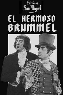 Profilový obrázek - El hermoso Brummel