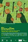 Bloudím (2006)