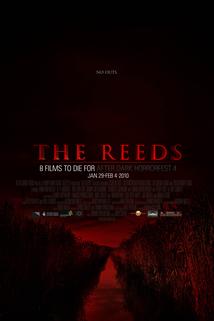 Profilový obrázek - The Reeds