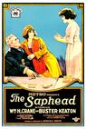 The Saphead (1920)