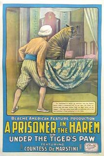 Profilový obrázek - A Prisoner in the Harem