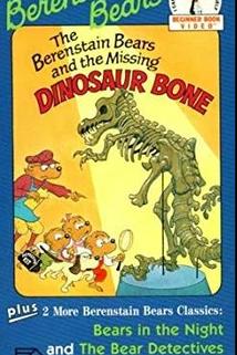 Profilový obrázek - The Missing Dinosaur Bone