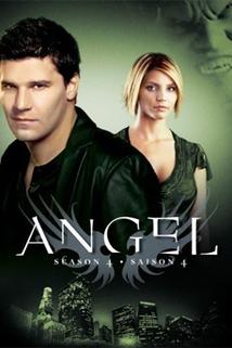 Profilový obrázek - 'Angel': Season 4 Overview