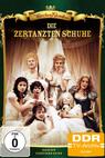 Die zertanzten Schuhe 
