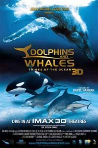 Profilový obrázek - Delfíni a velryby 3D: tuláci oceánů