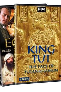 Profilový obrázek - The Face of Tutankhamun