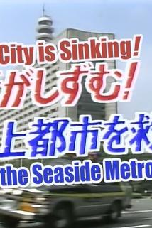 Profilový obrázek - The City Is Sinking! Save The Seaside Metropolis