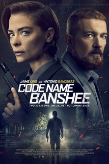 Profilový obrázek - Code Name Banshee