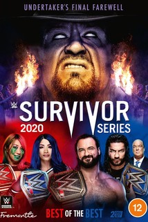 Profilový obrázek - WWE Survivor Series