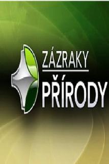 Profilový obrázek - Zázraky přírody