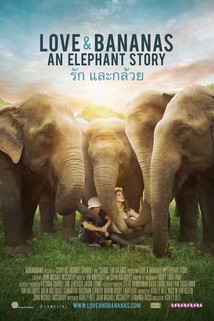 Profilový obrázek - Love & Bananas: An Elephant Story