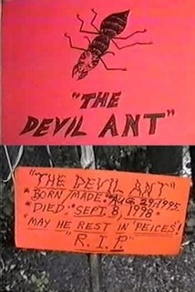 Profilový obrázek - The Devil Ant