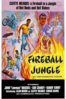 Profilový obrázek - Fireball Jungle