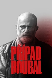 Profilový obrázek - Prípad Roubal