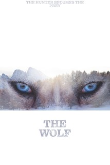 Profilový obrázek - The Wolf