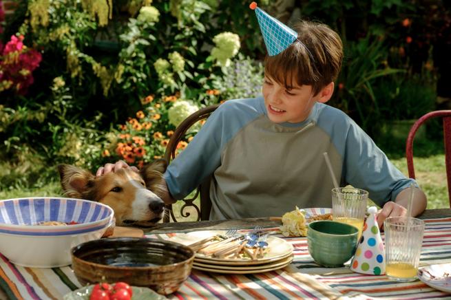 Lassie: Nové dobrodružství