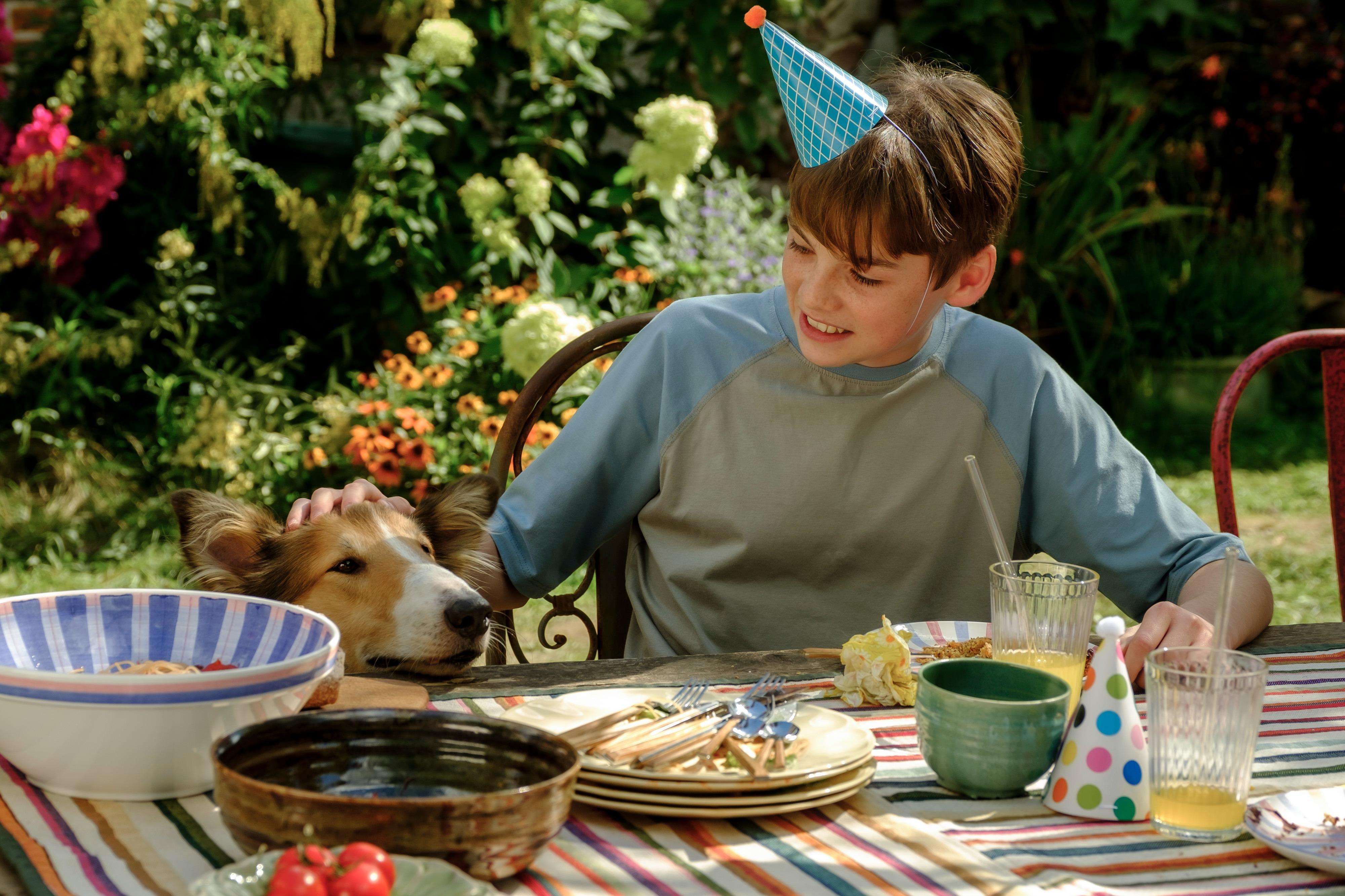 Lassie: Nové dobrodružství