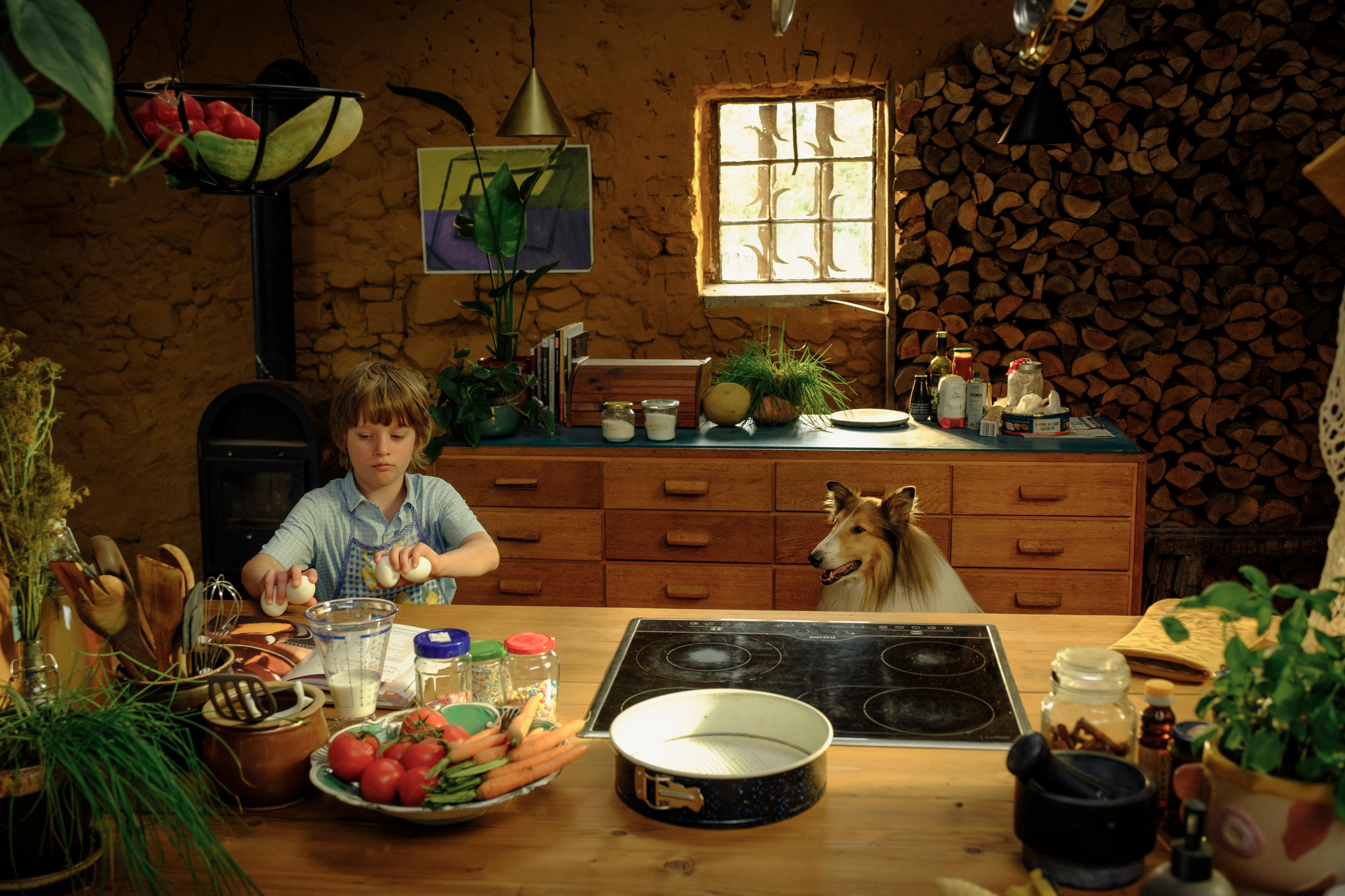 Lassie: Nové dobrodružství