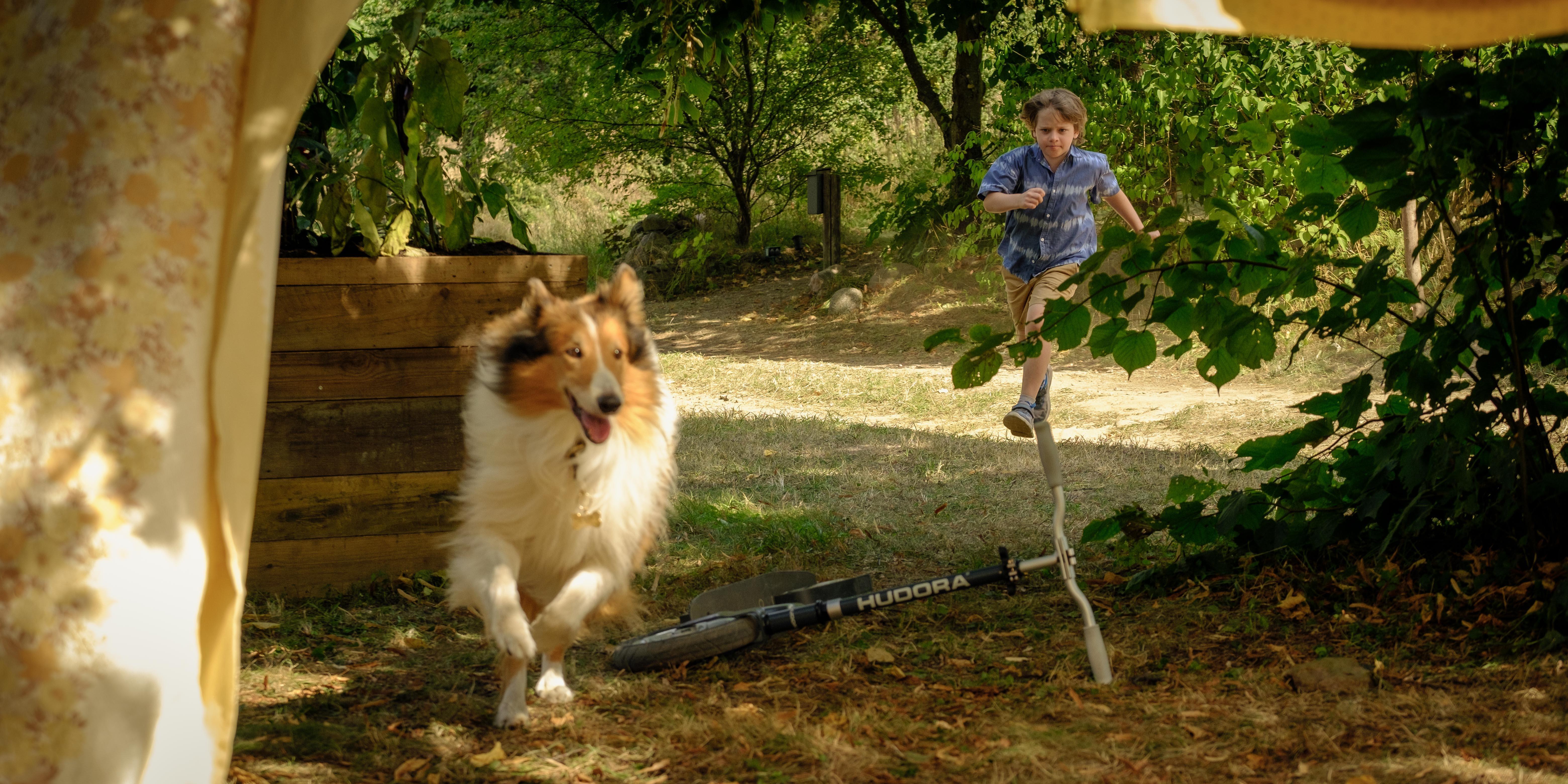 Lassie: Nové dobrodružství