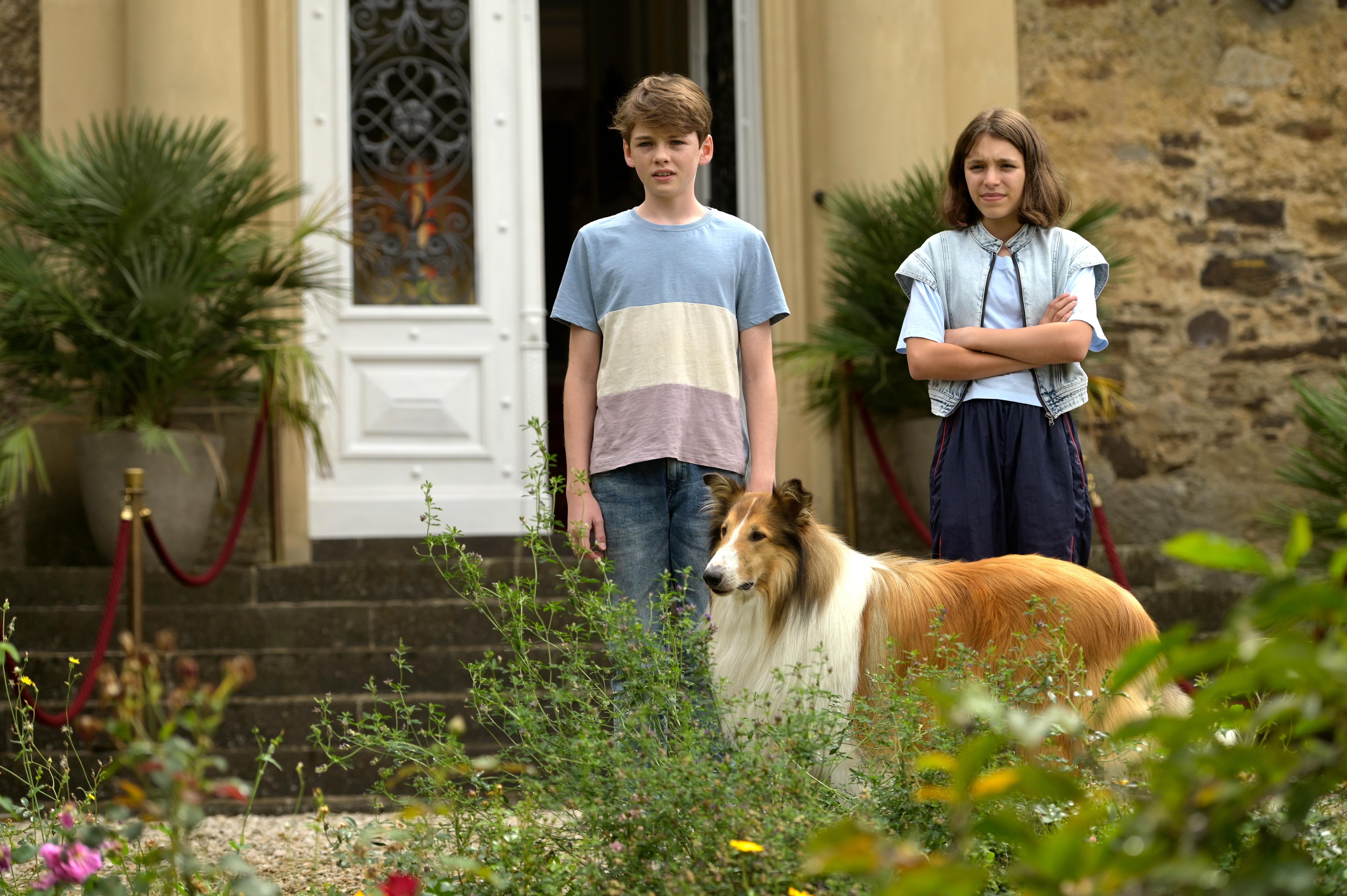 Lassie: Nové dobrodružství