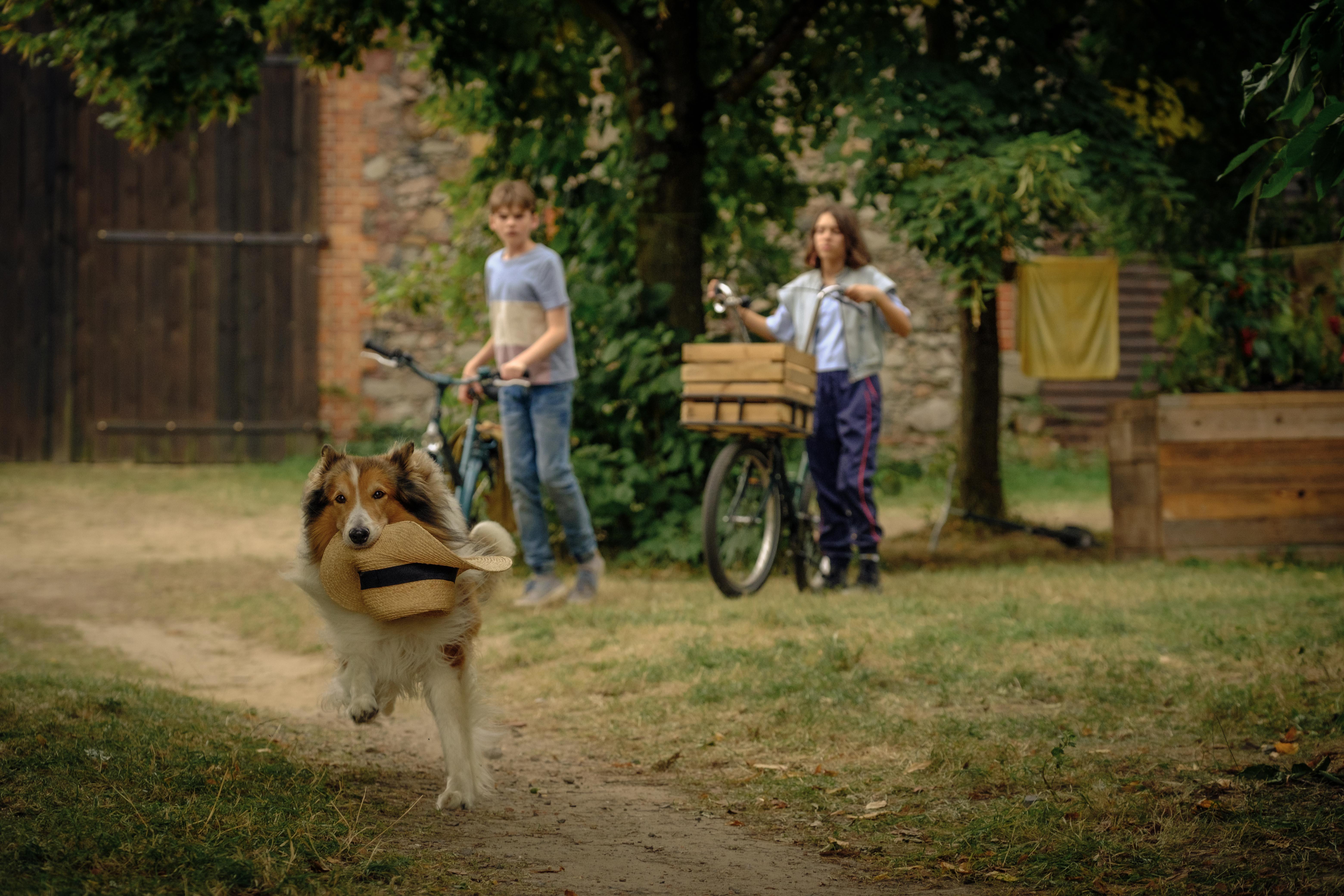 Lassie: Nové dobrodružství