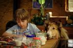 Lassie: Nové dobrodružství